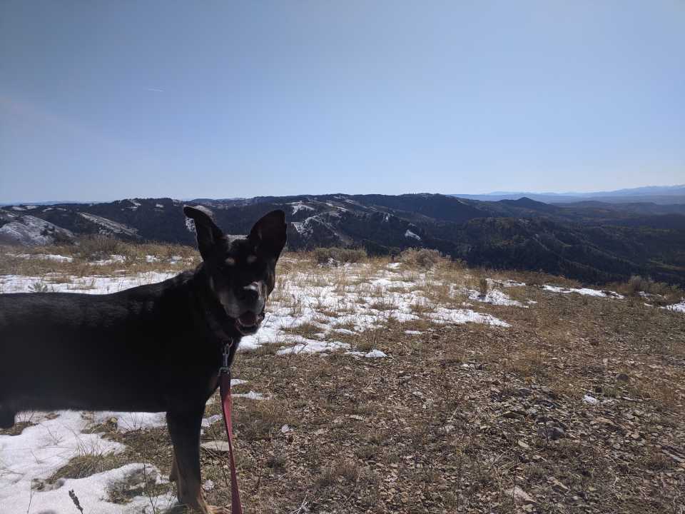 In Memory of Clapton